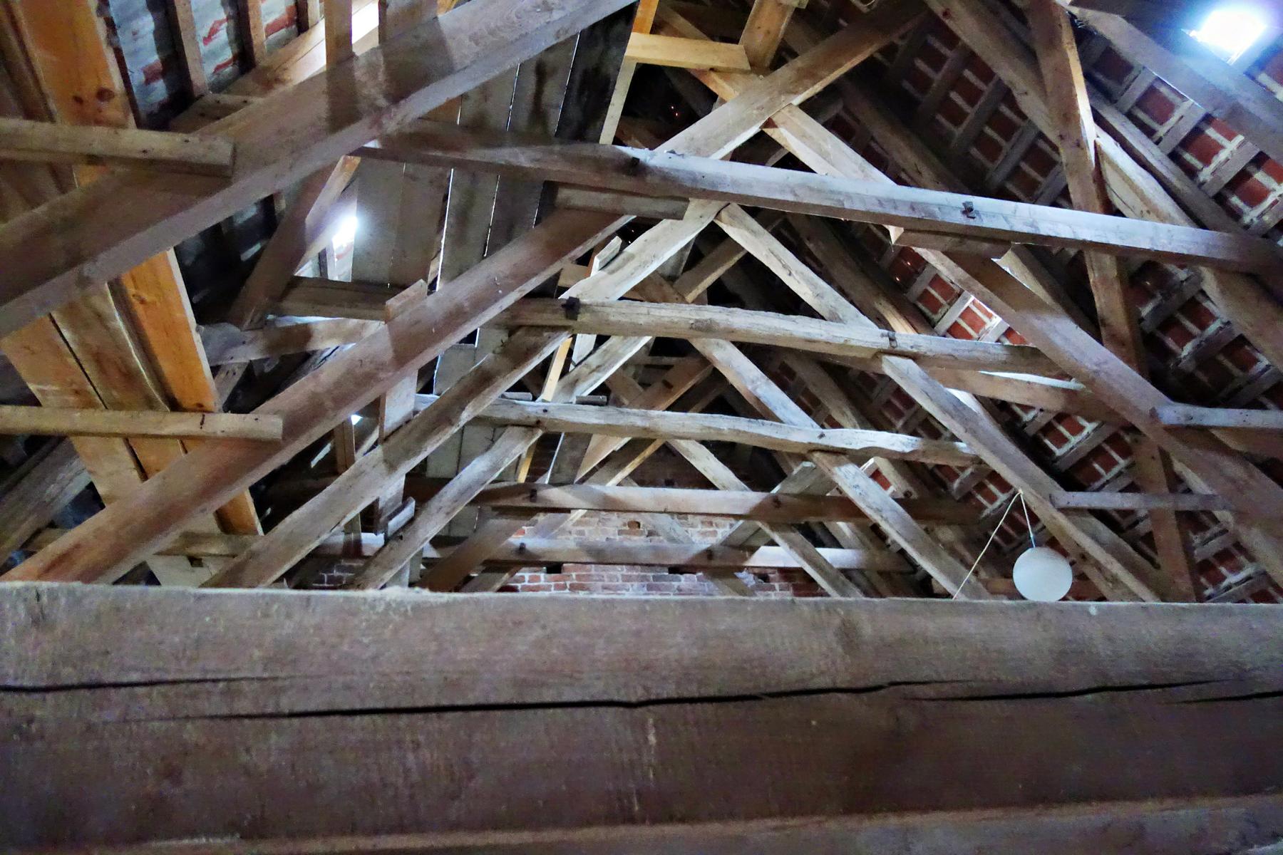Slide Image