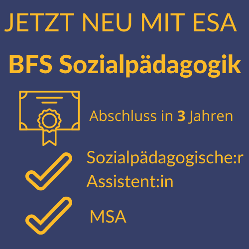Berufsfachschule III Sozialpädagogik 3-jährig